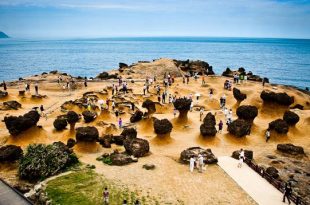 Lưu bản nháp tự động